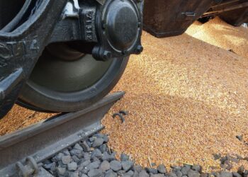 Ukraińscy dziennikarze policzyli, że w latach 2022-2023 do Polski wpłynęło 12 mln ton rosyjskiego zboża. Dlaczego wówczas nie protestowali rolnicy?