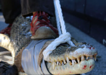 Syndrom „cudzej wojny”